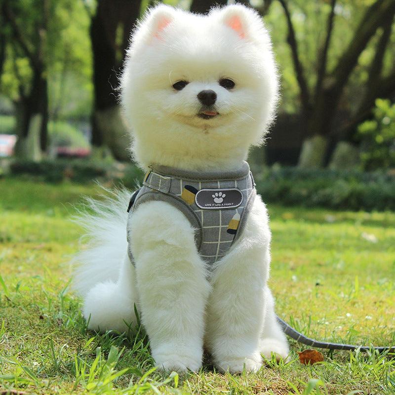 Reflective Nighttime Dog Leash With Stylish Design-3