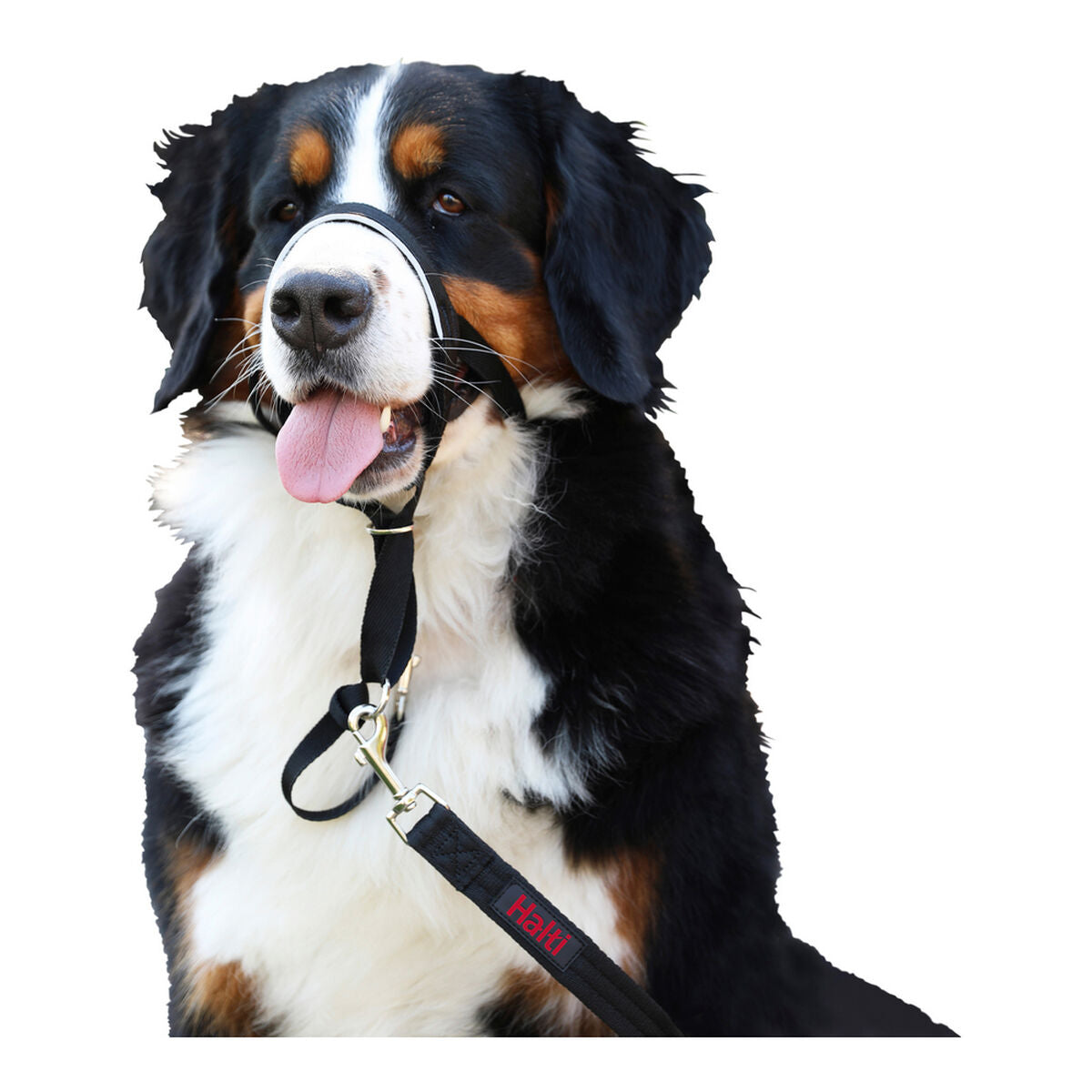 Dog Training Collars Company of Animals Halti Black Muzzle (40-54 cm)-4