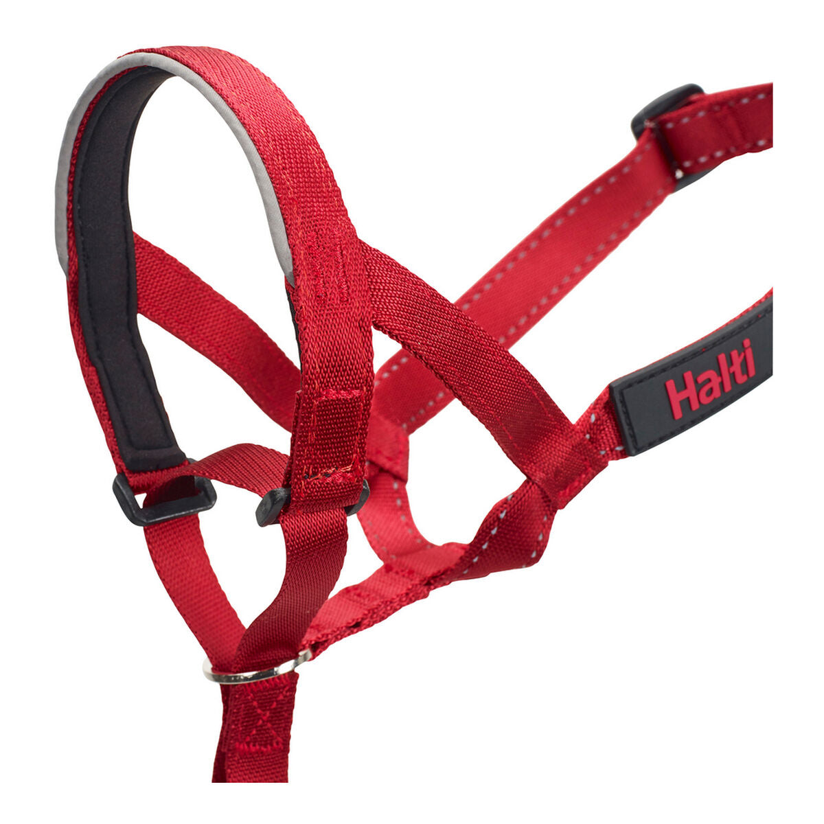 Dog Training Collars Company of Animals Halti Muzzle (46-62 cm)-4
