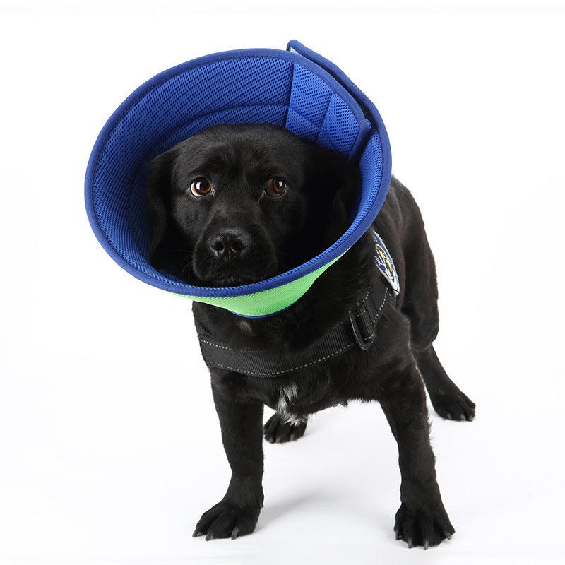 Pet Recovery Shield: Transparent Anti-Bite Collar For Dogs And Cats-0