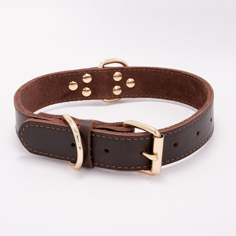 Petpals Comfortfit Dog Collar-4