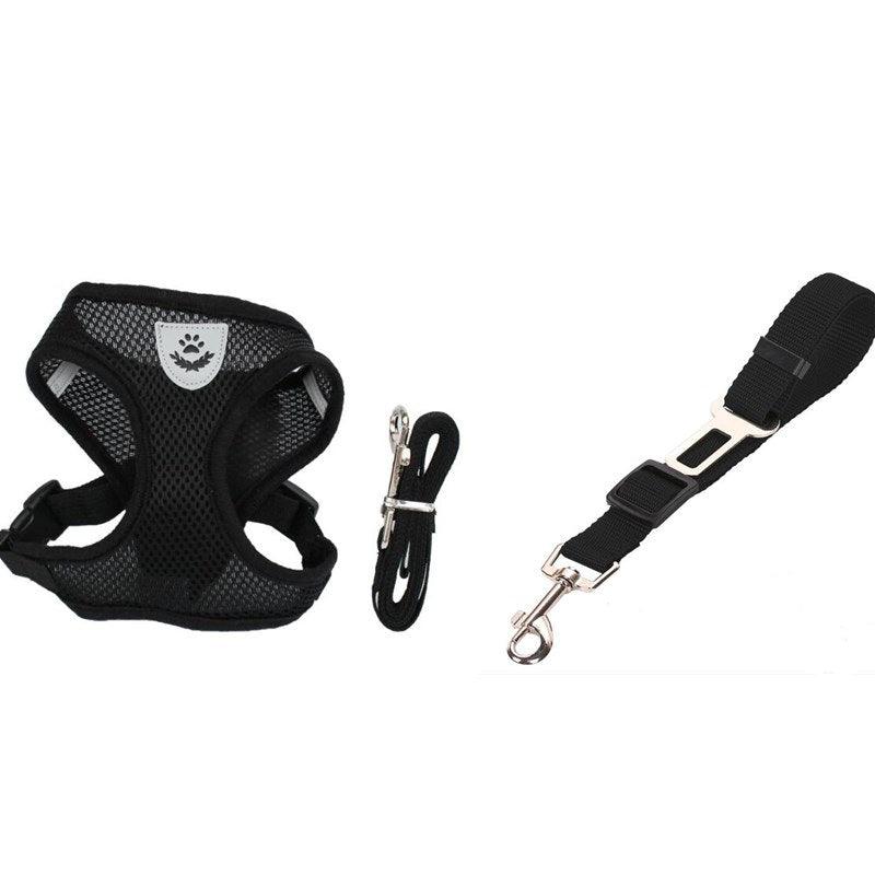 Pet Comfort Ride Leash And Seat Belt Combo-3