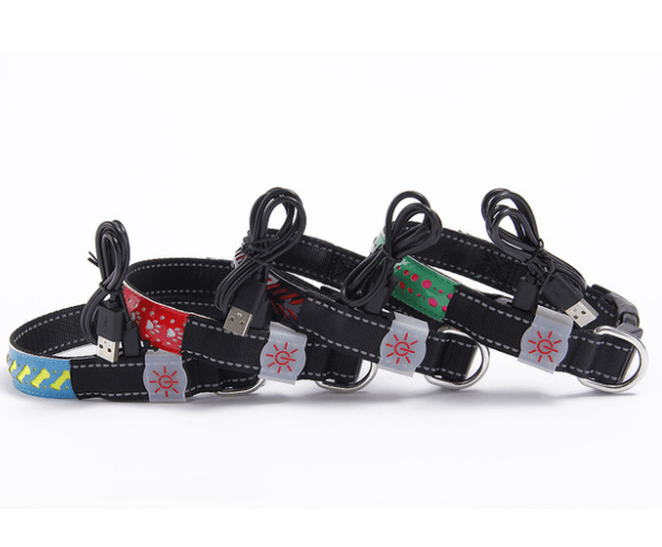 Glowing Paws Led Pet Collar-0