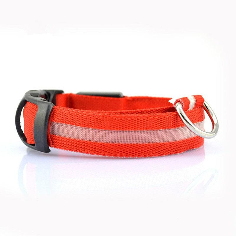 Illumipet Led Safety Collar-5