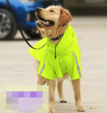 Reflective Waterproof Dog Raincoat - Spring And Summer Collection-5