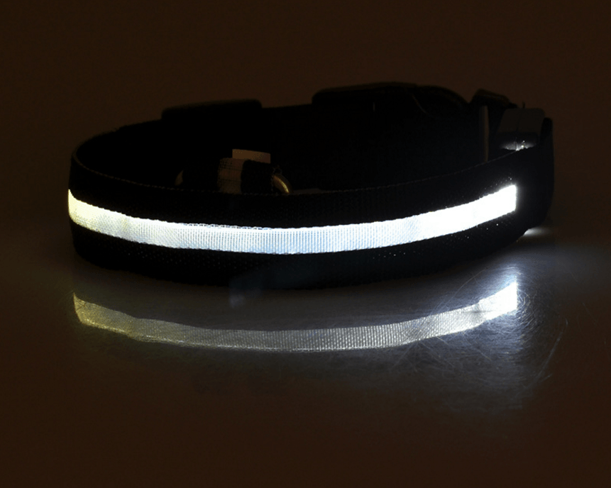 Luminous Glow-In-The-Dark Led Pet Collar: The Ultimate Night Safety Accessory For Dogs And Cats-5