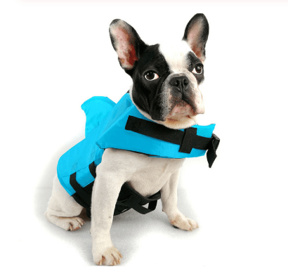 Shark Fin Dog Life Vest-6