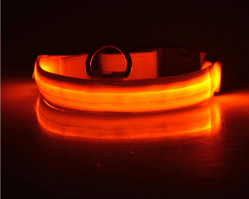 Luminous Glow-In-The-Dark Led Pet Collar: The Ultimate Night Safety Accessory For Dogs And Cats-1