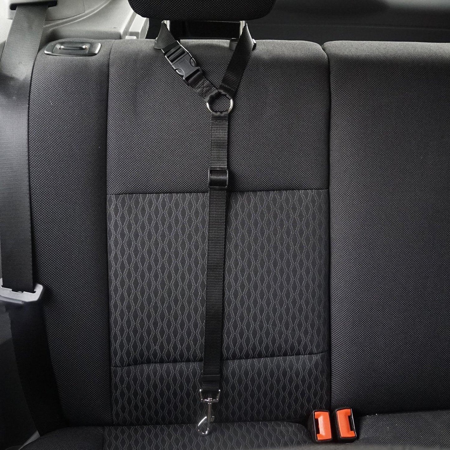 Secureflex Pet Safety Leash-2