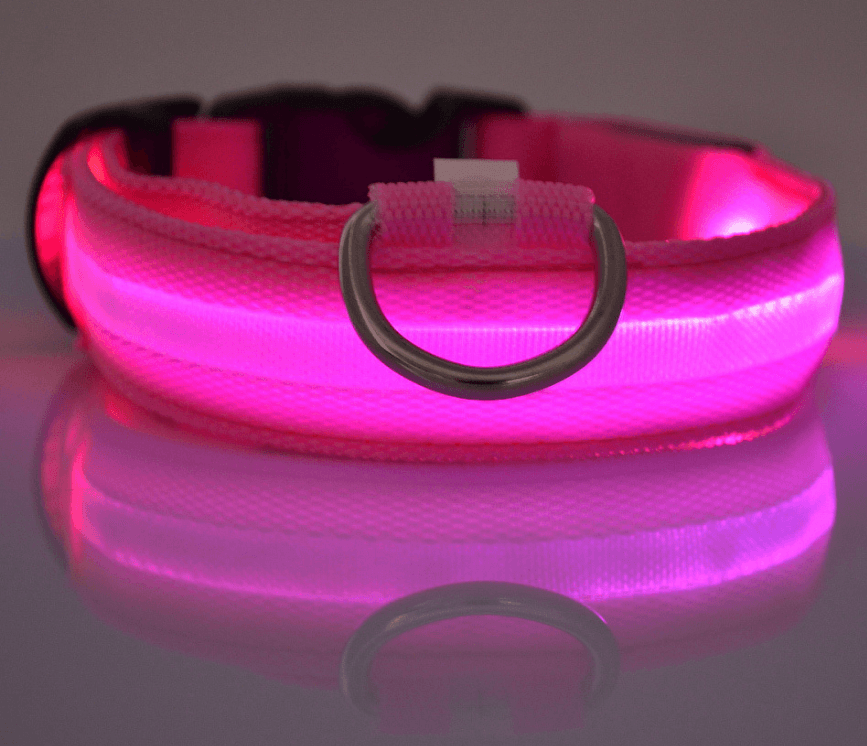 Luminous Glow-In-The-Dark Led Pet Collar: The Ultimate Night Safety Accessory For Dogs And Cats-2