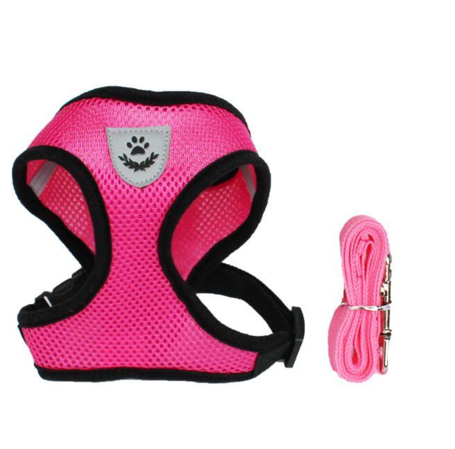 Pet Comfort Ride Leash And Seat Belt Combo-16