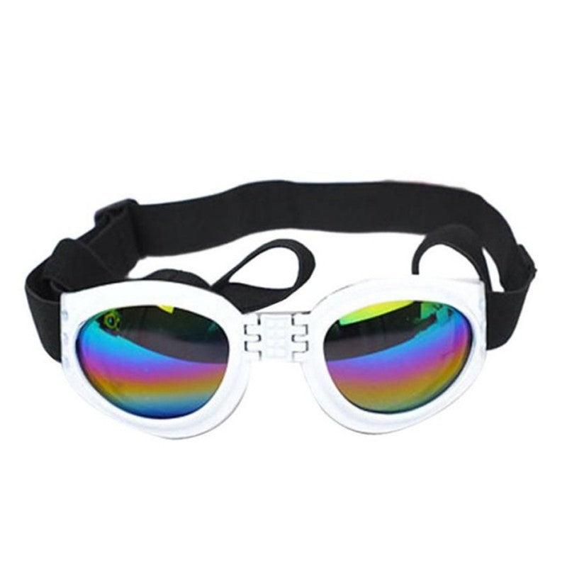 Foldable Aquashield Dog Sunglasses-2