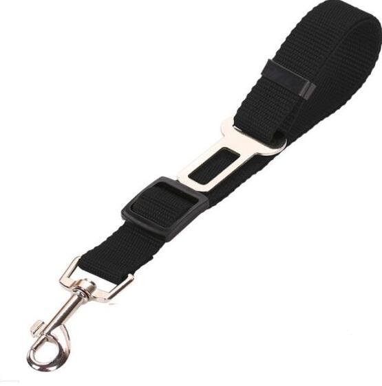 Pet Comfort Ride Leash And Seat Belt Combo-18