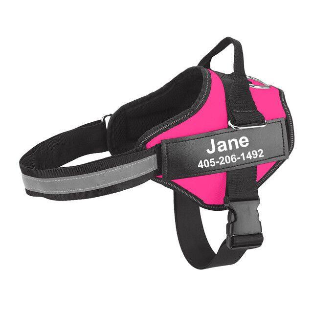 Multicolor Customizable Pet Leash: The Perfect Fashion Accessory For Your Furry Friend-4