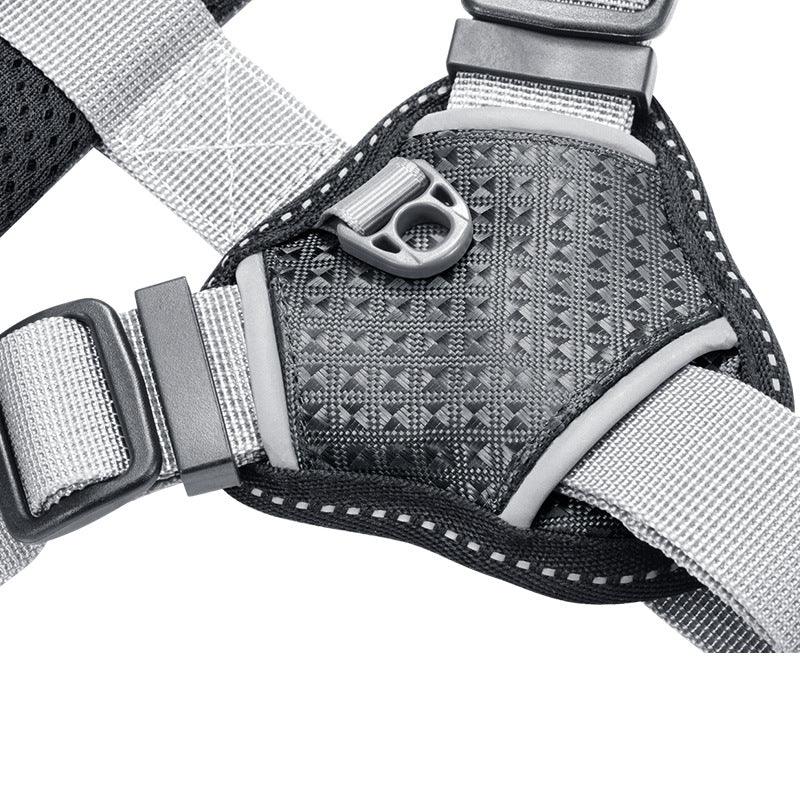 Stylish Polyester Dog Leash Collar - Perfect For Small Dogs!-4