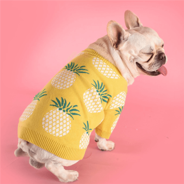 Tropical Delight Cotton Sweater-2
