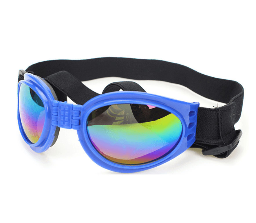 Foldable Aquashield Dog Sunglasses-5