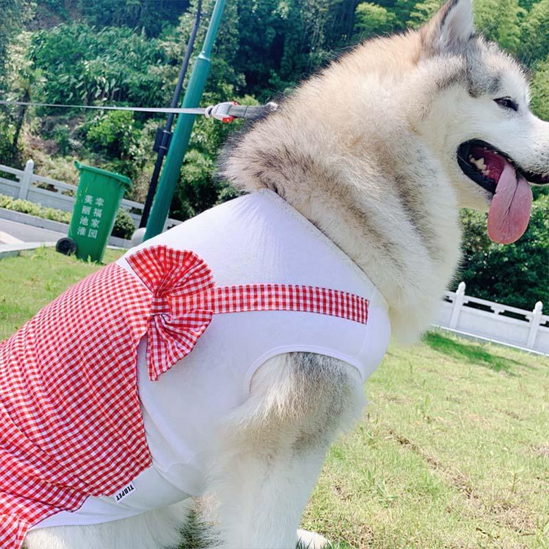 Regal Canine Couture: Plaid Princess Dog Costume For Labrador, Golden Retriever, And Big Dogs-3