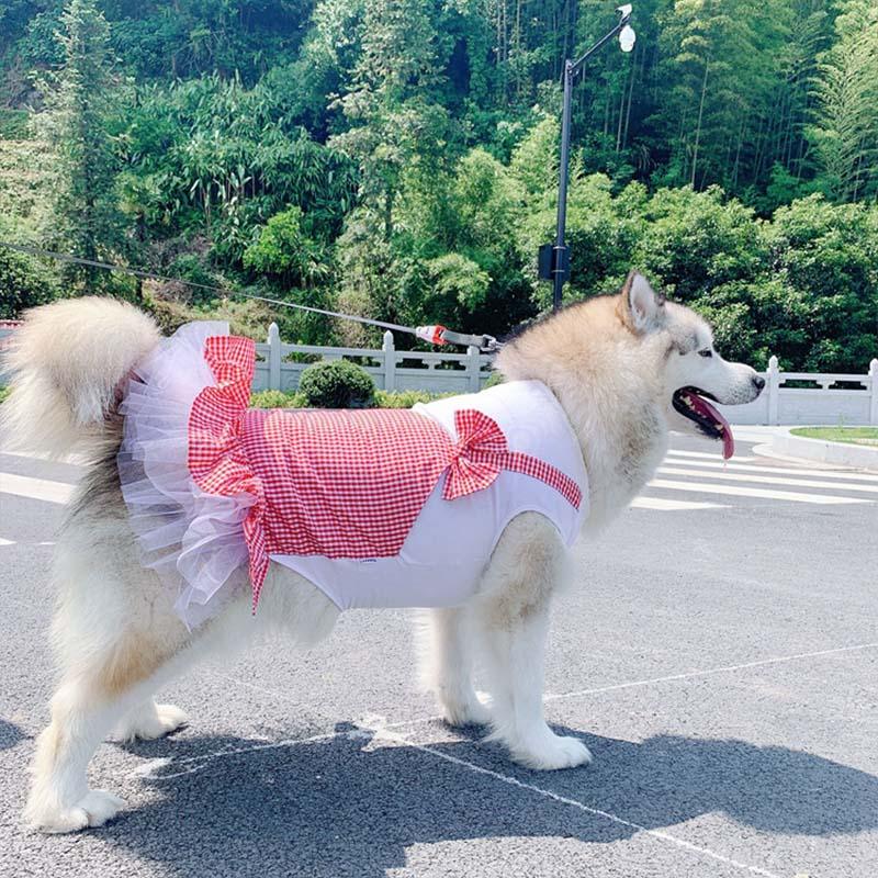 Regal Canine Couture: Plaid Princess Dog Costume For Labrador, Golden Retriever, And Big Dogs-0