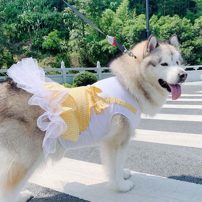 Regal Canine Couture: Plaid Princess Dog Costume For Labrador, Golden Retriever, And Big Dogs-1