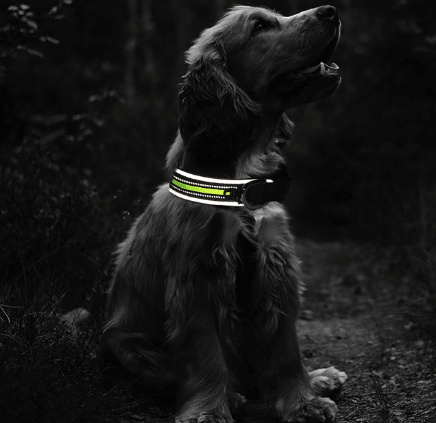 Reflective Grid Pattern Neoprene Pet Collars - Stylish Safety Accessories For Dogs And Cats-3
