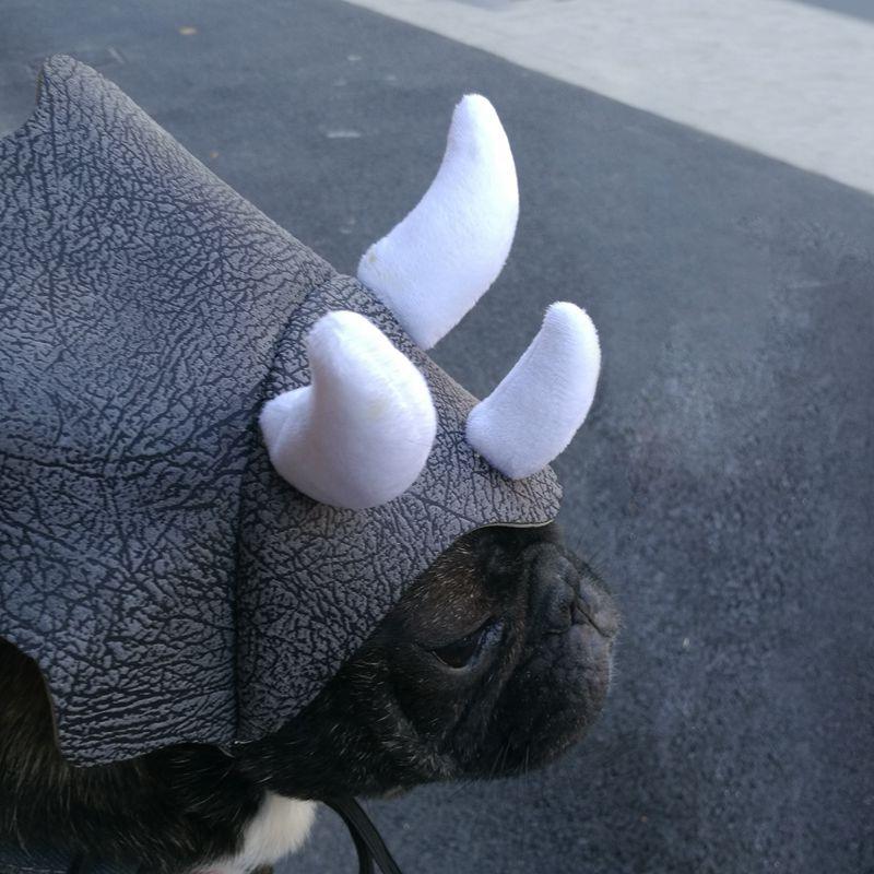 Triceratops Pet Transformation Hat - Fun And Stylish Pet Headgear Costume-4