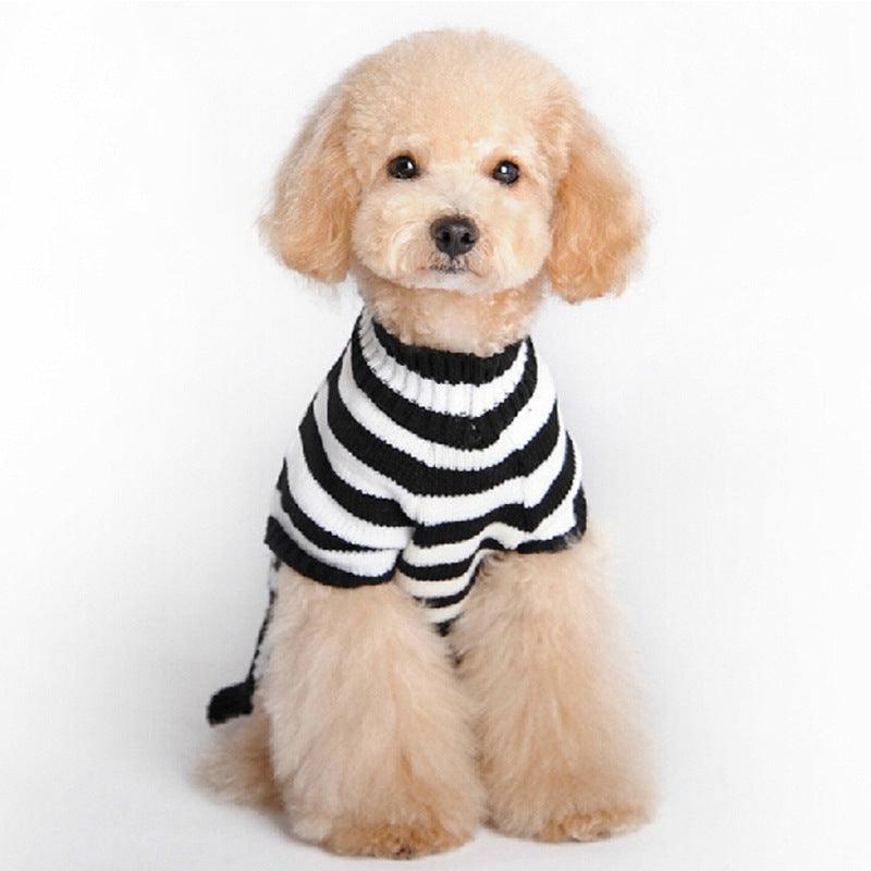 Skull Dog Halloween Sweater - Spooky Pet Fashion For All Seasons-3