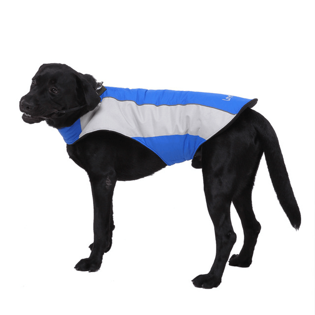 Reflective Pet Jacket: Stay Safe And Stylish On Your Walks-2