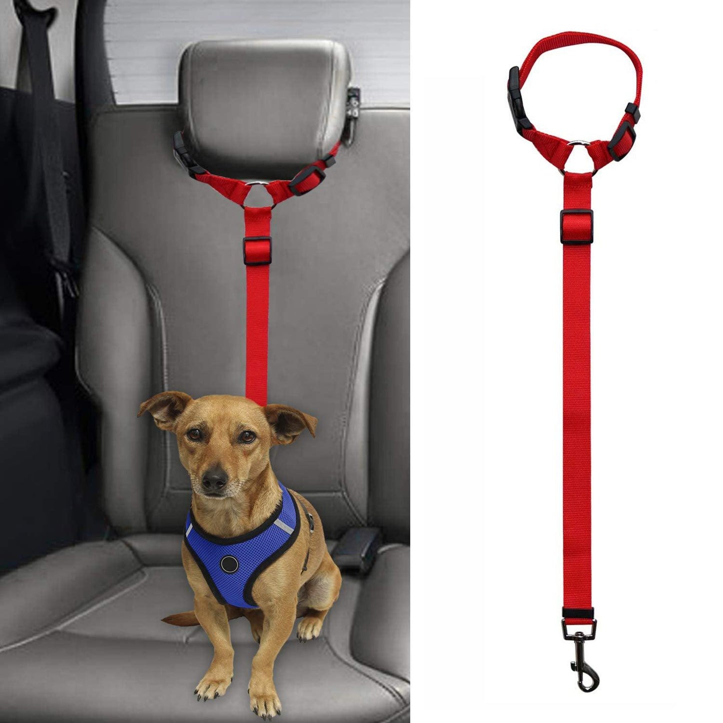 Secureflex Pet Safety Leash-0
