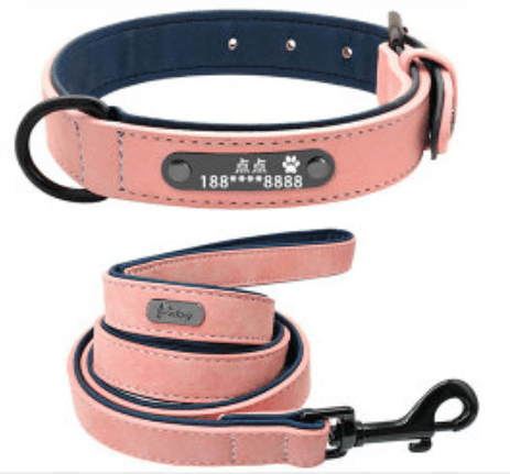 Personalized Pet Identity Card - Stylish And Durable Dog Tag-10
