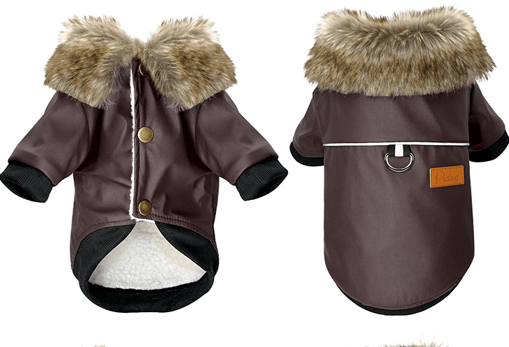 Luxury Fur-Trimmed Leather Jacket For Dogs-5