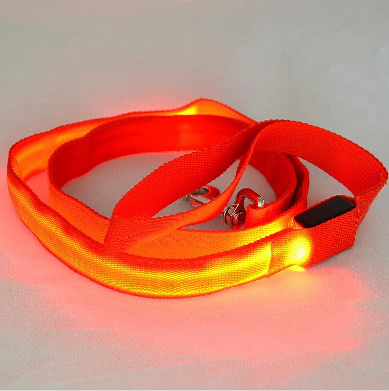 Glowing Pet Leash - Illuminated Led Dog Leash-4