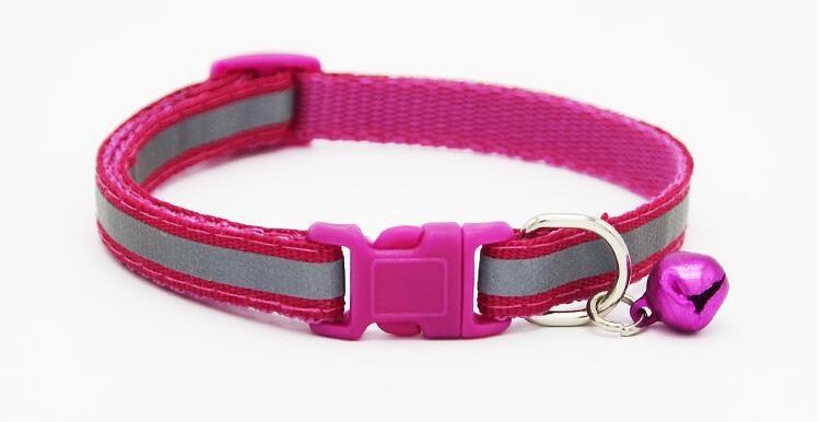 Reflective Glow Collar-10