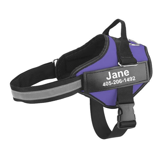 Multicolor Customizable Pet Leash: The Perfect Fashion Accessory For Your Furry Friend-1