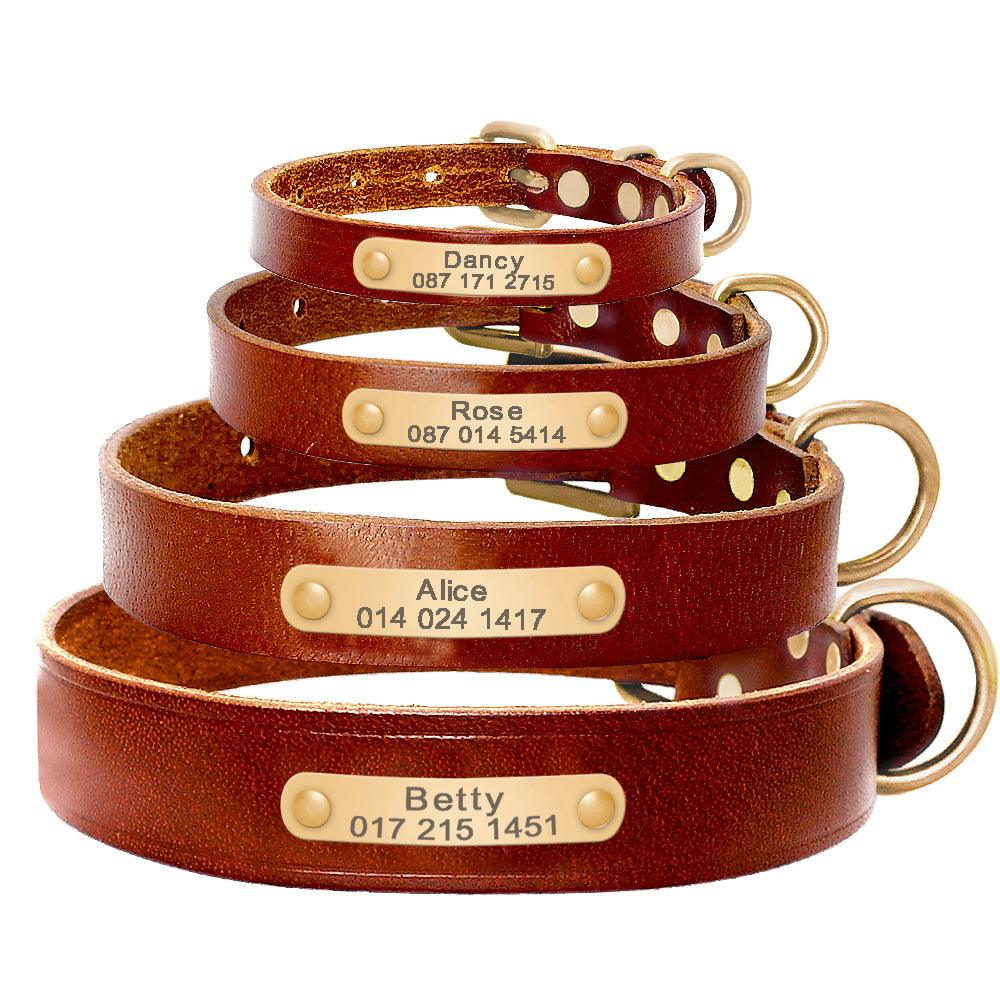 Personalized Genuine Leather Dog Collar With Stainless Steel Nameplate-1
