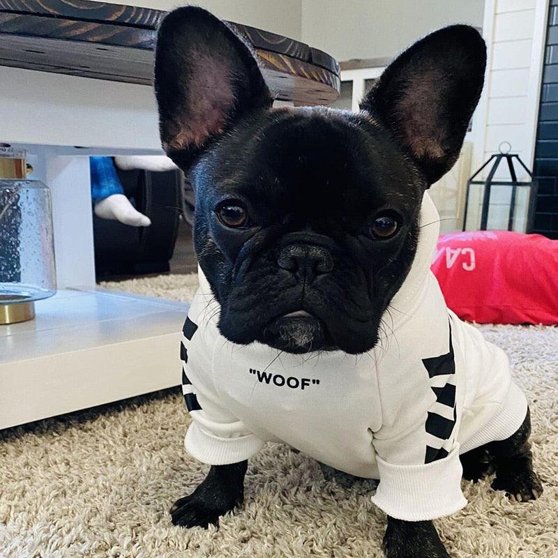 Winter Pup Parka-1