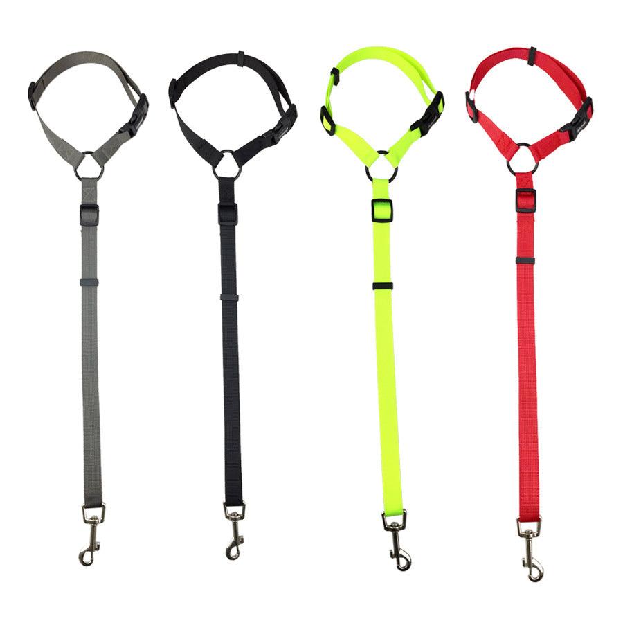Secureflex Pet Safety Leash-3