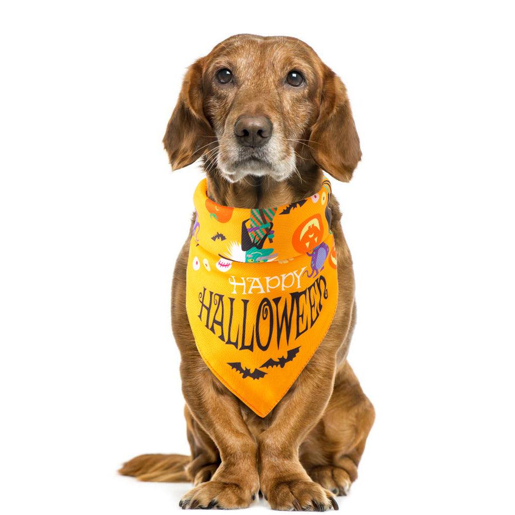 Spooky Paws Halloween Pet Saliva Towel-10