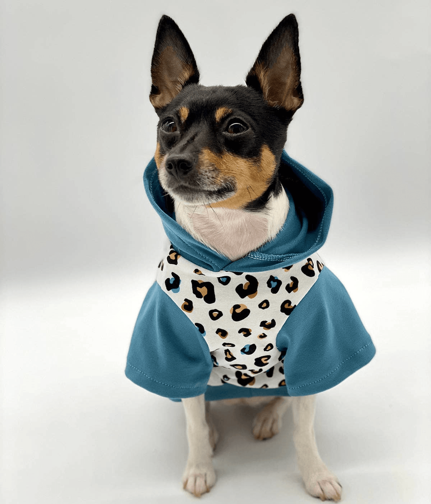 Limited Edition Leopard Print Hoodie for Dogs-6
