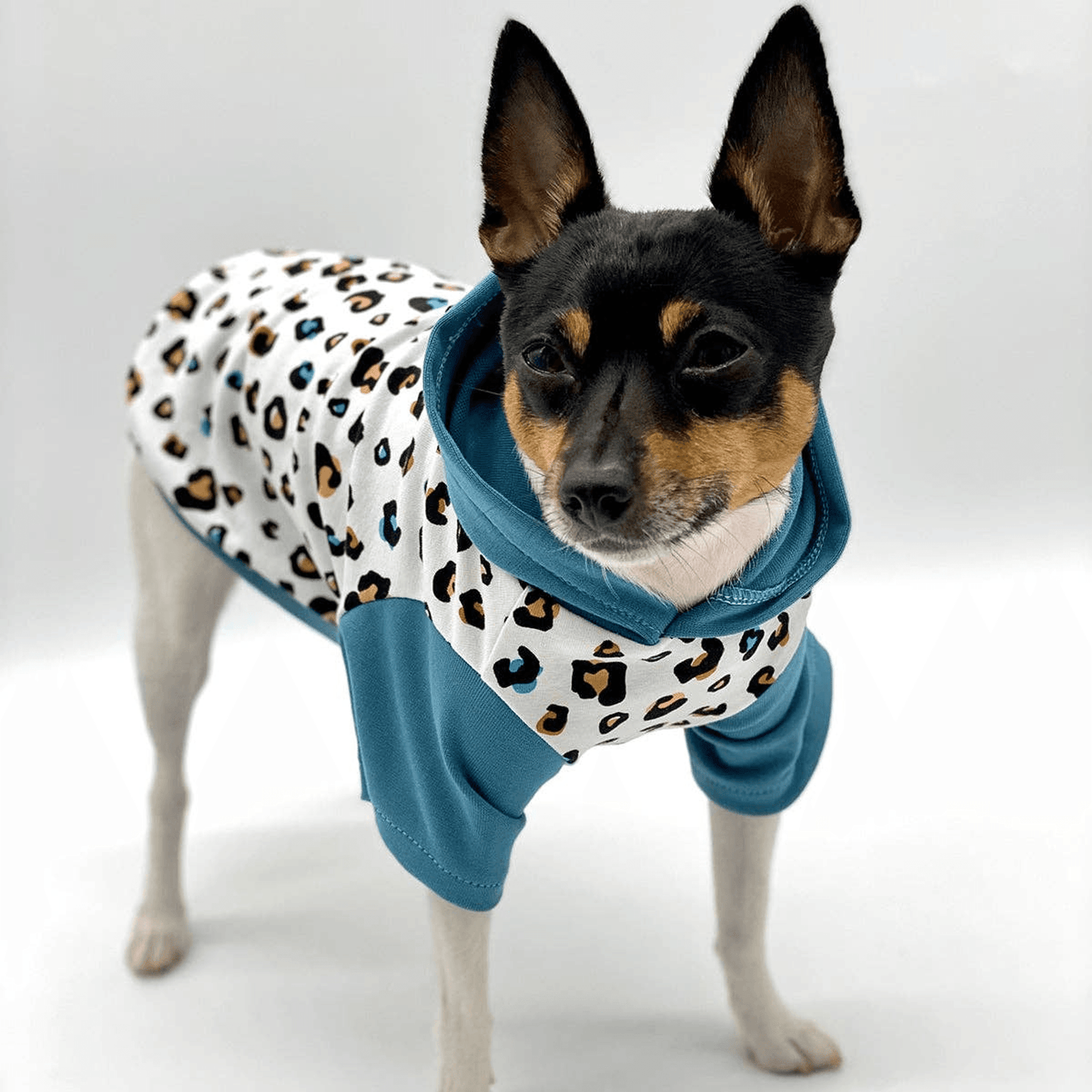 Limited Edition Leopard Print Hoodie for Dogs-3