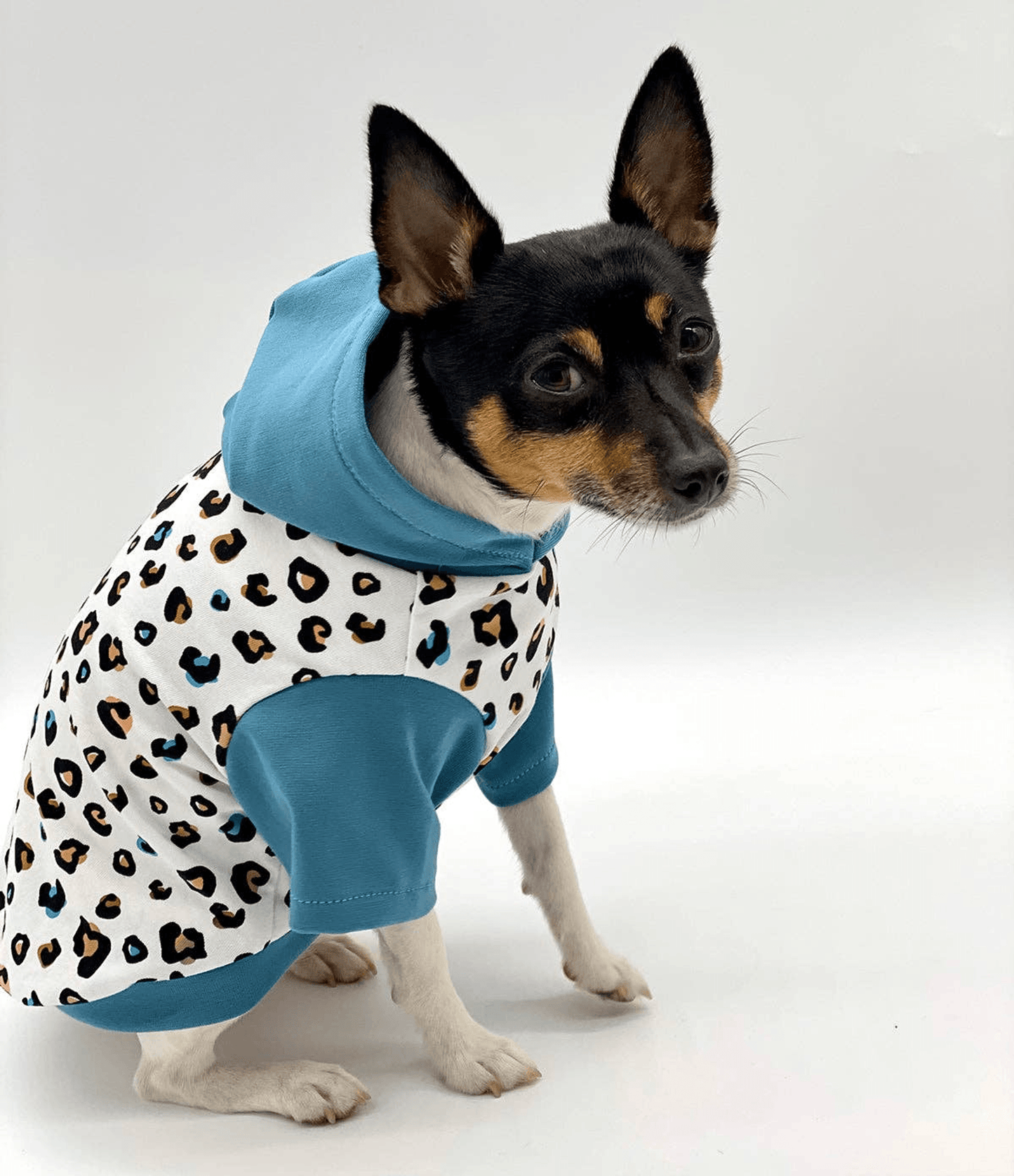 Limited Edition Leopard Print Hoodie for Dogs-4