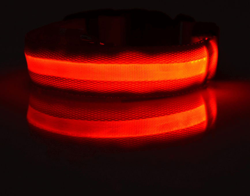 Luminous Glow-In-The-Dark Led Pet Collar: The Ultimate Night Safety Accessory For Dogs And Cats-3