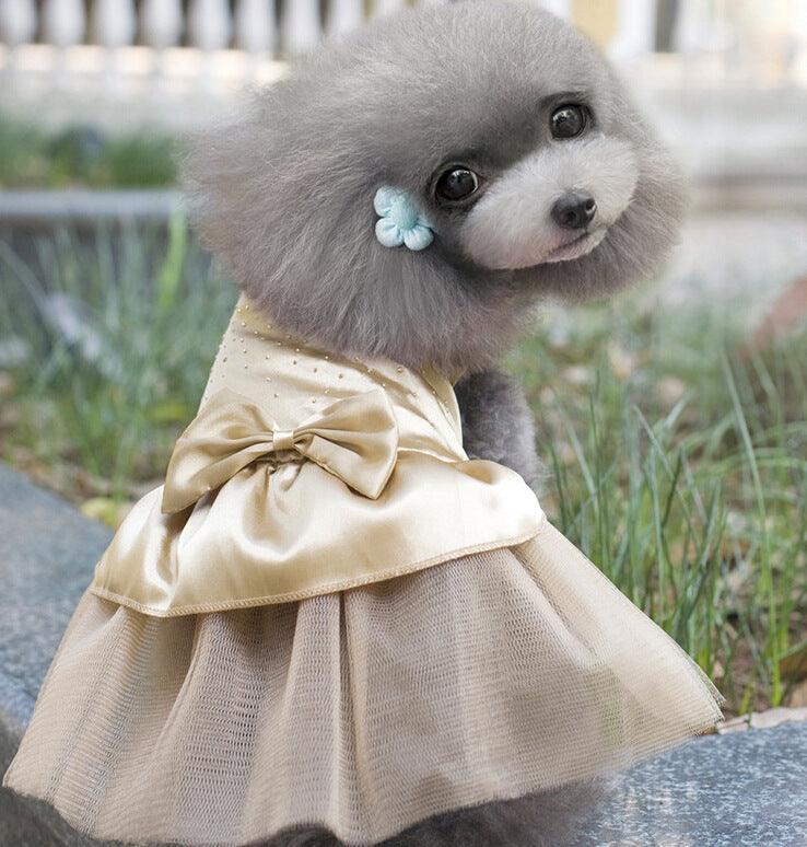 Pawsome Pup Wedding Gown-4