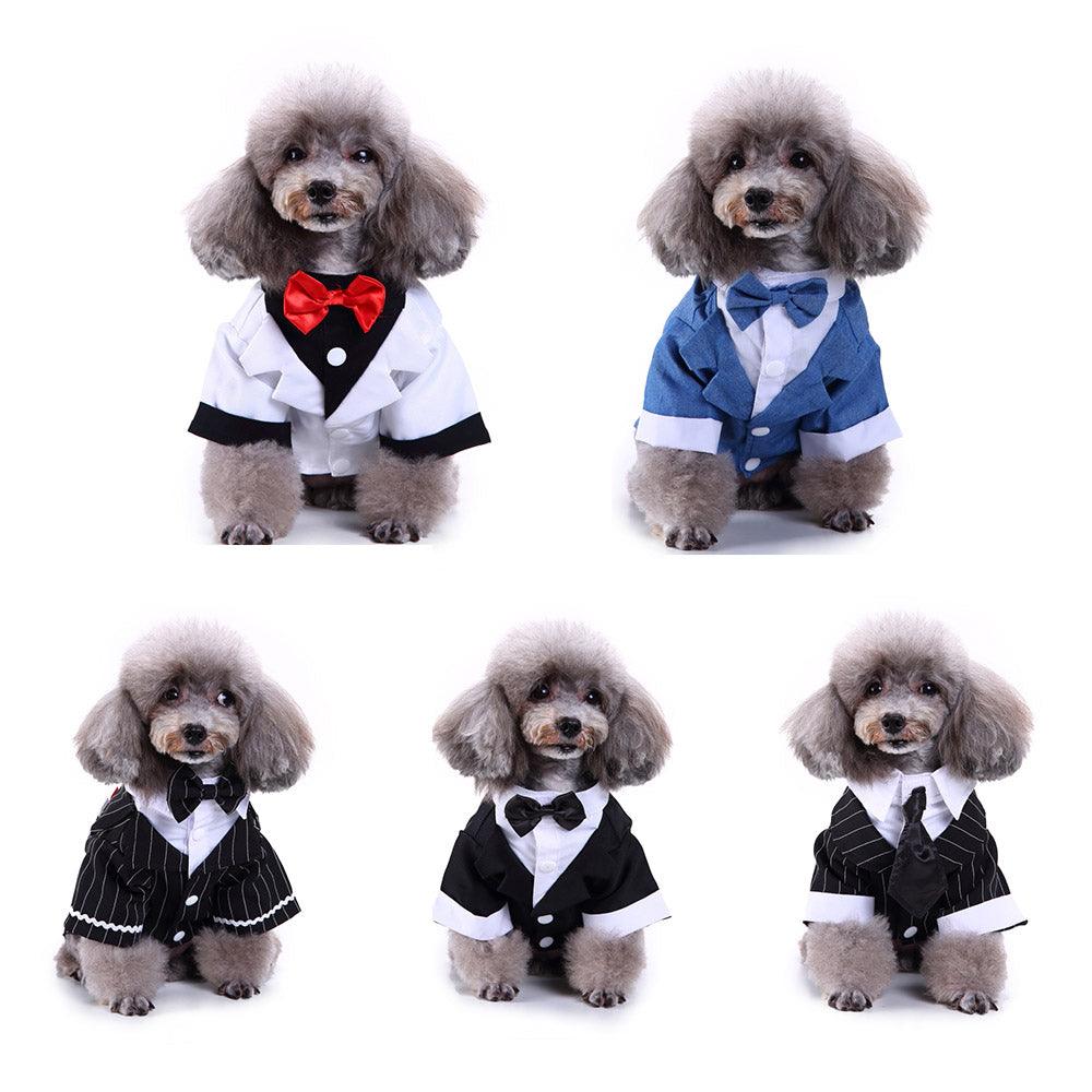 English Bulldog Pet Dog Suit-0