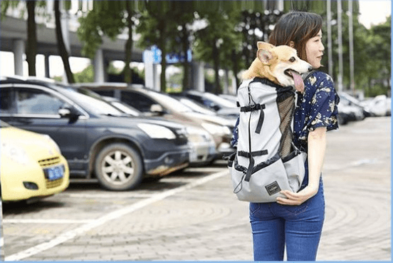Venturepaws Ventilated Pet Adventure Backpack-2