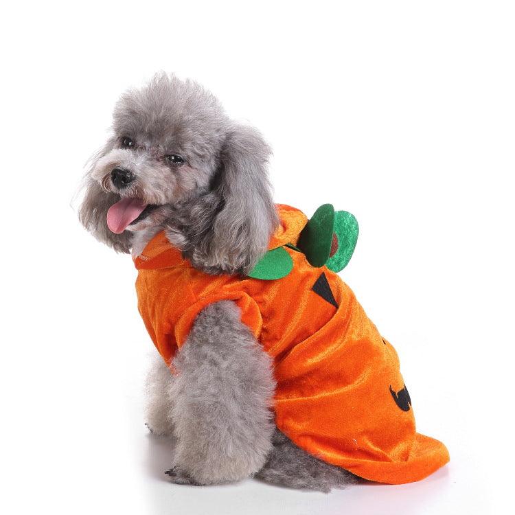 Spooky Festive Dog Costume-5