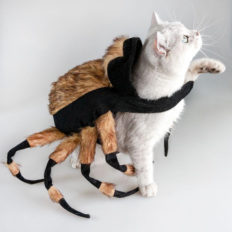 Spider Costume For Pets: Transform Your Furry Friend Into A Spooky Arachnid!-3