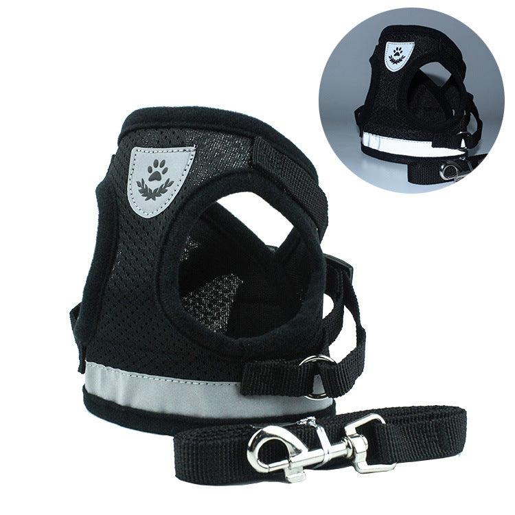 Pet Comfort Ride Leash And Seat Belt Combo-19