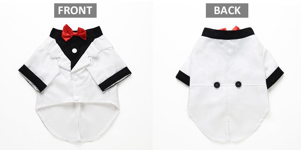 English Bulldog Pet Dog Suit-6