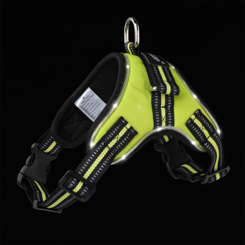 Luminous Canine Collar-5